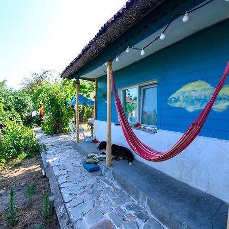 Danube Delta Hostel Homestay & Camping Сулина Экстерьер фото