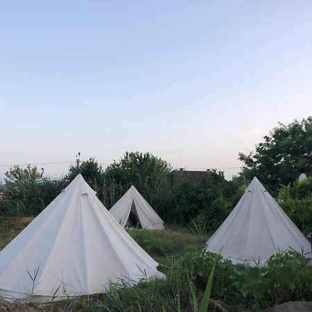 Danube Delta Hostel Homestay & Camping Сулина Экстерьер фото