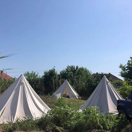 Danube Delta Hostel Homestay & Camping Сулина Экстерьер фото