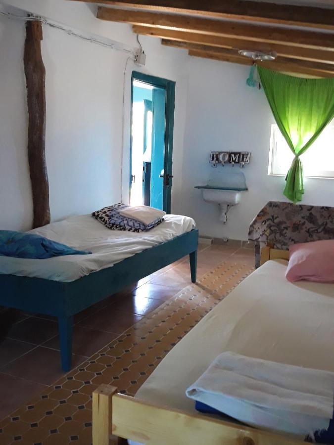 Danube Delta Hostel Homestay & Camping Сулина Экстерьер фото