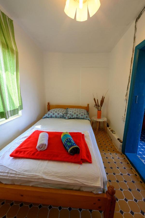 Danube Delta Hostel Homestay & Camping Сулина Экстерьер фото