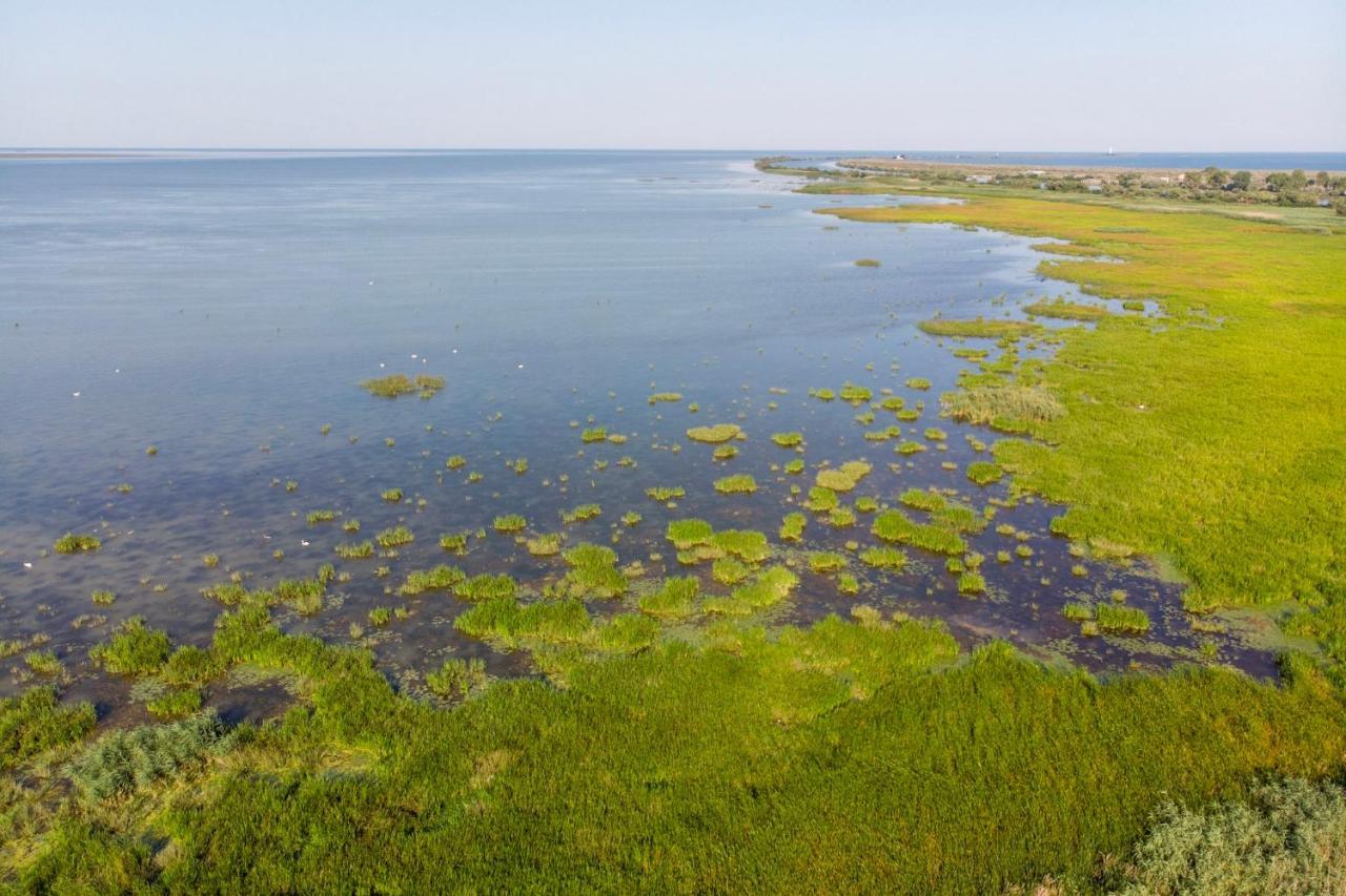 Danube Delta Hostel Homestay & Camping Сулина Экстерьер фото