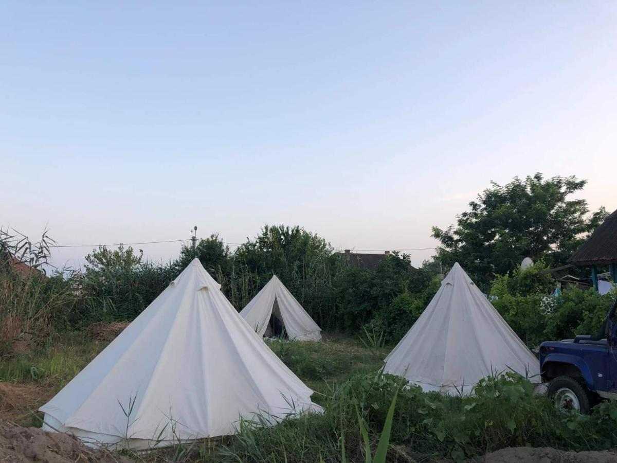 Danube Delta Hostel Homestay & Camping Сулина Экстерьер фото